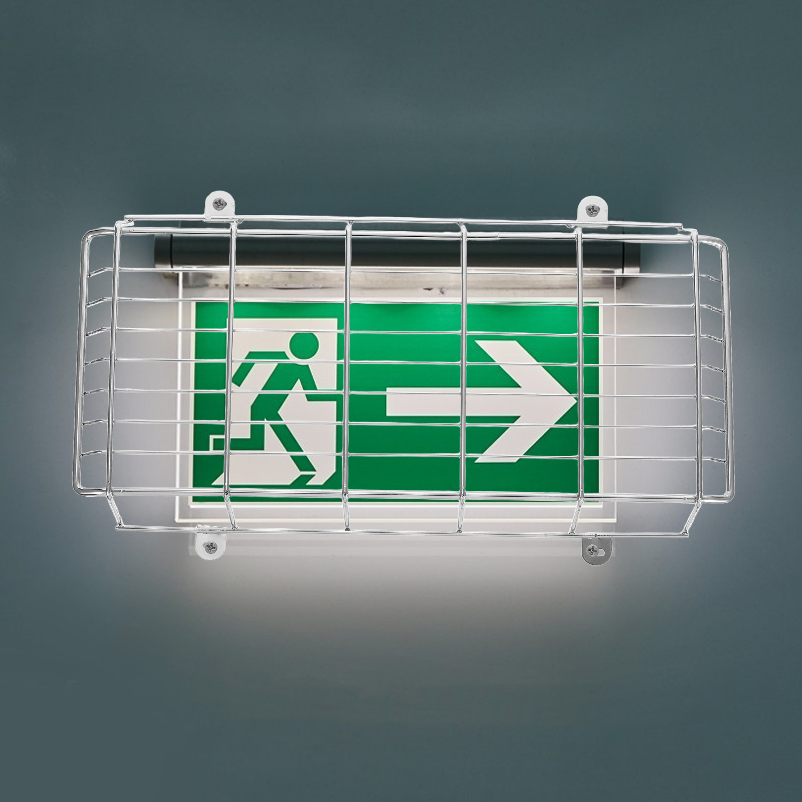 1세트, 학교용 벽걸이식 비상구 표지판, 안전 와이어  - Emergency Exit Sign 리뷰 및 가격